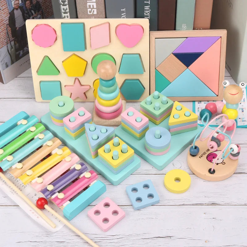 Montessori Wooden Educational Toy for Toddlers