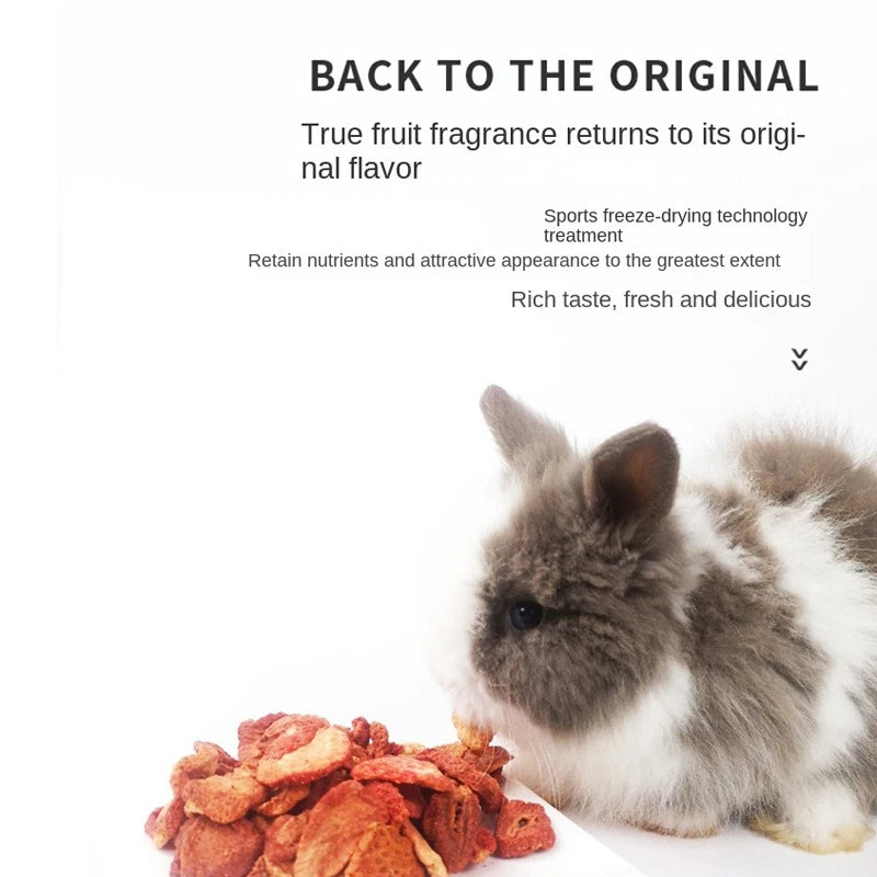Freeze-Dried Strawberry Grains 60g Rabbit Chinchilla Guinea Pig Hamster Snacks Dried S close-up view