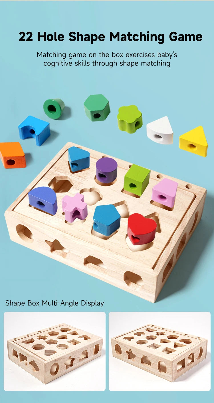 Montessori Wooden Color and Shape Matching Puzzle