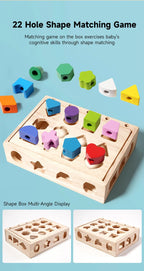 Montessori Wooden Color and Shape Matching Puzzle