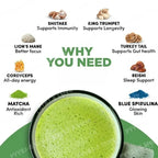 Mushroom Matcha Powder with Lion's Mane, Reishi & Cordyceps, 6.35 Oz (180g) , Non-GMO close-up view