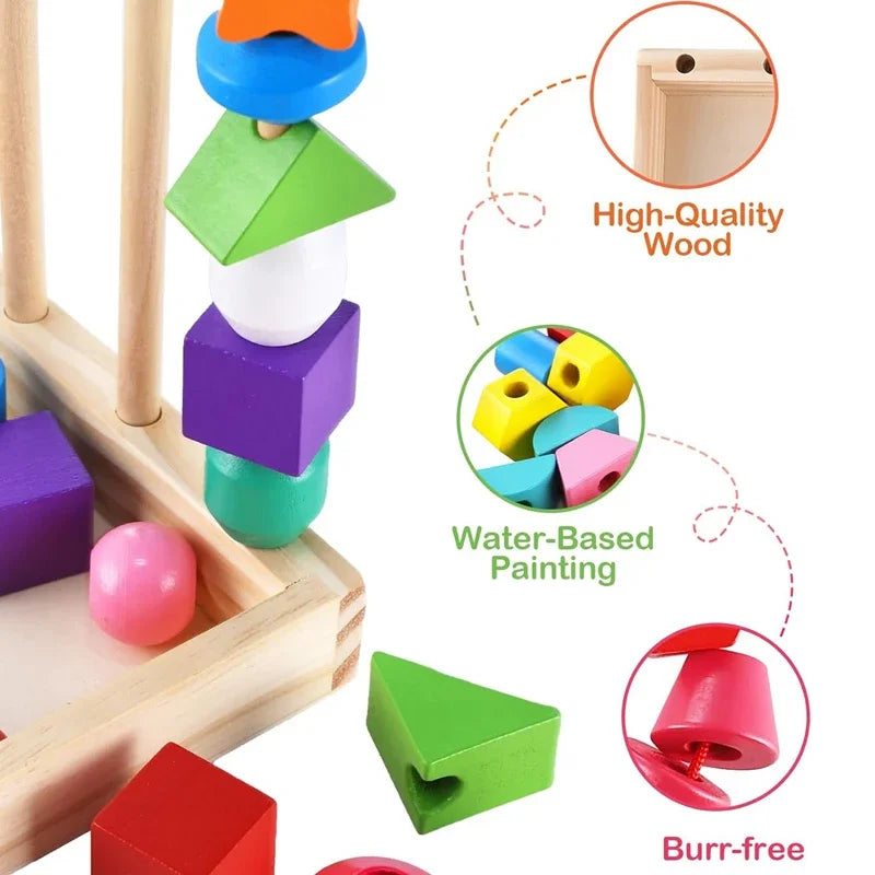 Montessori Wooden Color and Shape Matching Puzzle