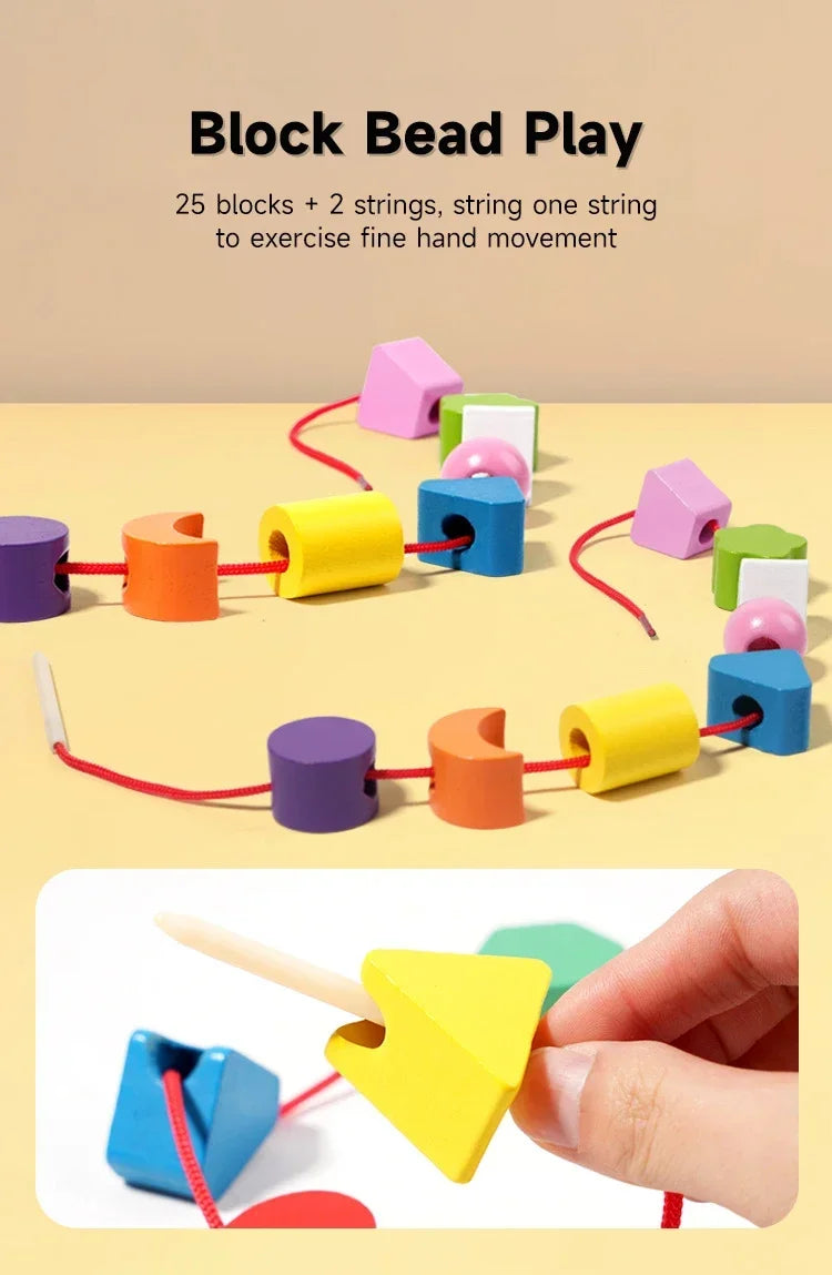 Montessori Wooden Color and Shape Matching Puzzle