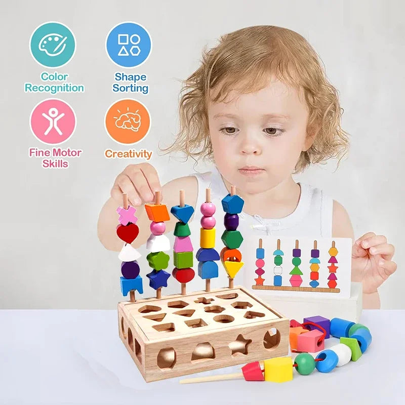 Montessori Wooden Color and Shape Matching Puzzle