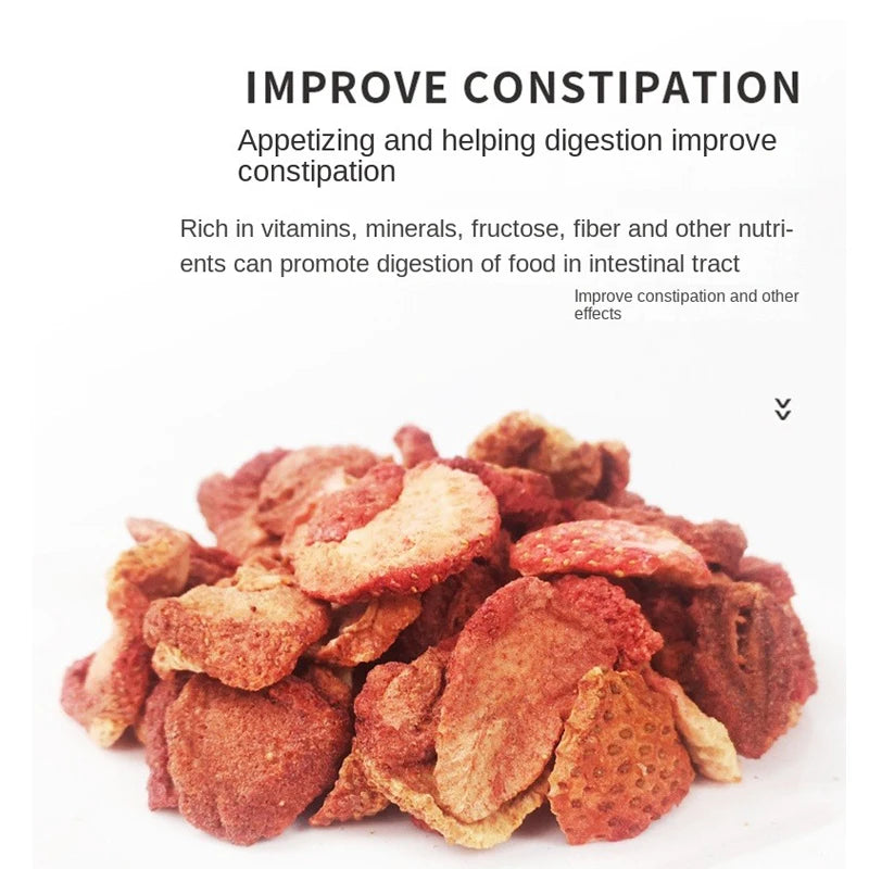 Freeze-Dried Strawberry Grains 60g Rabbit Chinchilla Guinea Pig Hamster Snacks Dried Str detail view