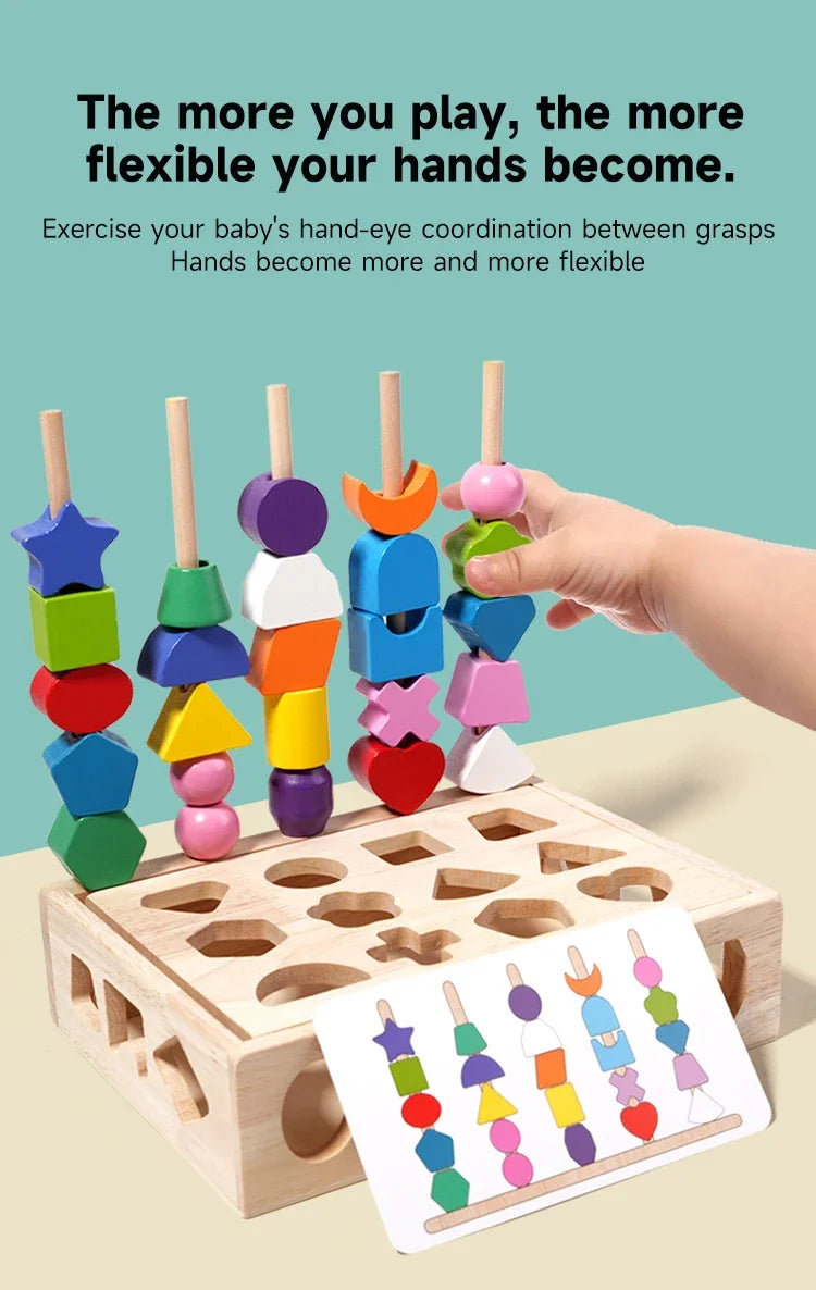 Montessori Wooden Color and Shape Matching Puzzle