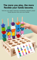 Montessori Wooden Color and Shape Matching Puzzle