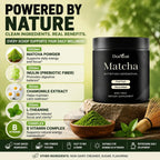 Docteat Matcha Ceremonial Powder 50g Stone Milled Daily Energy Focus Digestive Balance close-up view