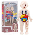 Montessori Human Body Anatomy Model Educational Toy