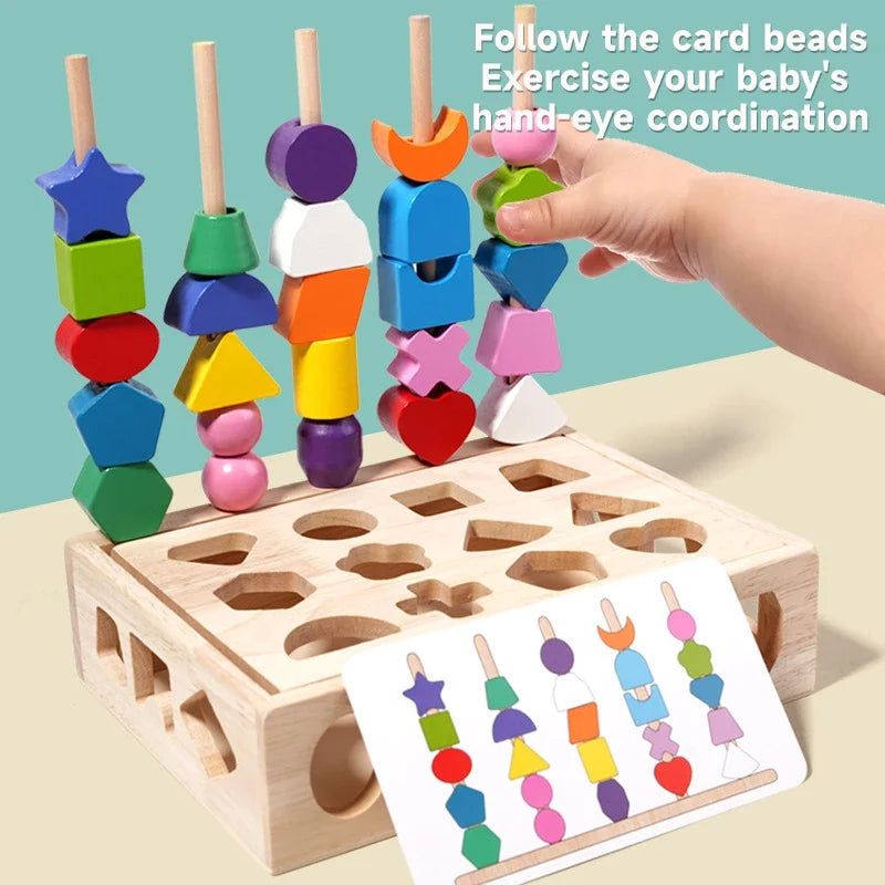 Montessori Wooden Color and Shape Matching Puzzle