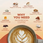 Organic Mushroom Matcha & Coffee, 2000mg Adaptogenic Blends, USDA Certified, Made i additional angle