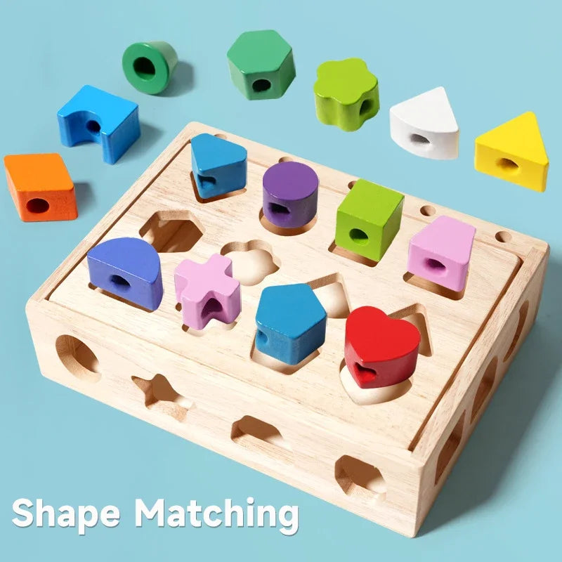 Montessori Wooden Color and Shape Matching Puzzle
