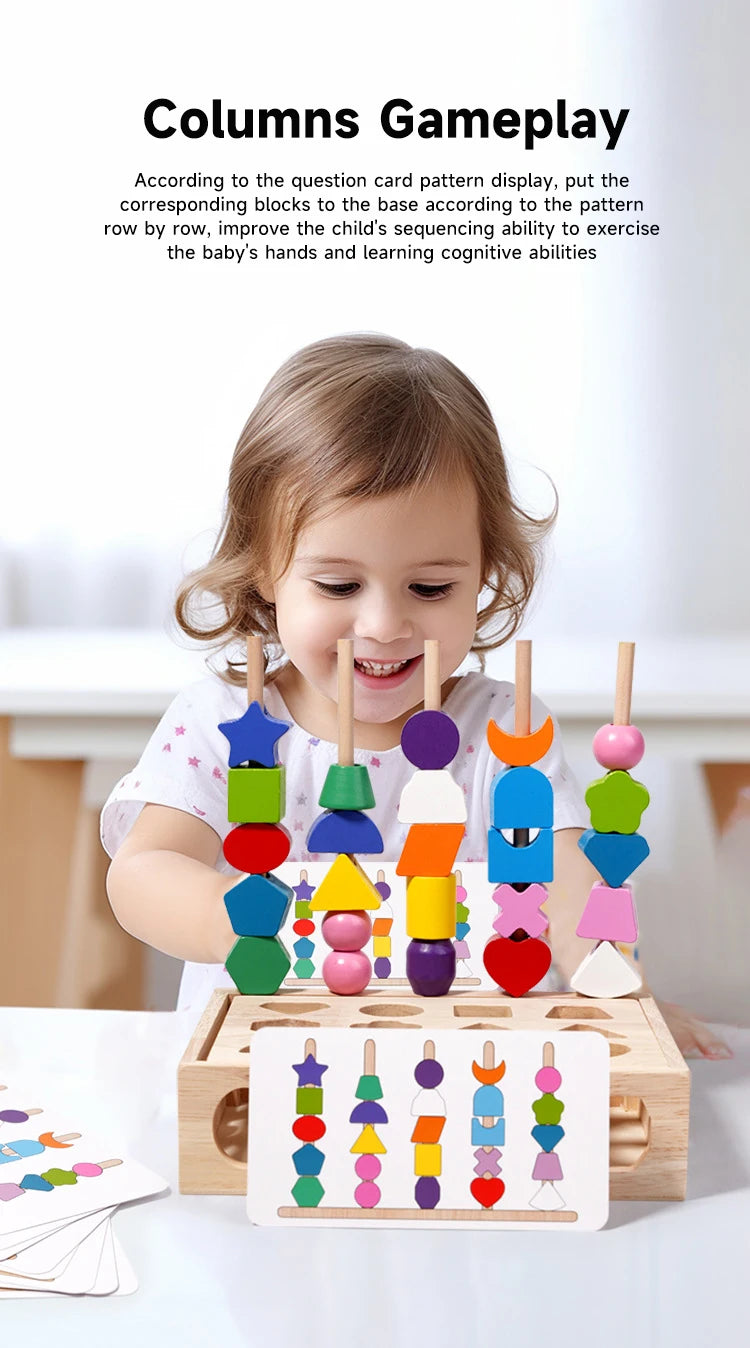 Montessori Wooden Color and Shape Matching Puzzle