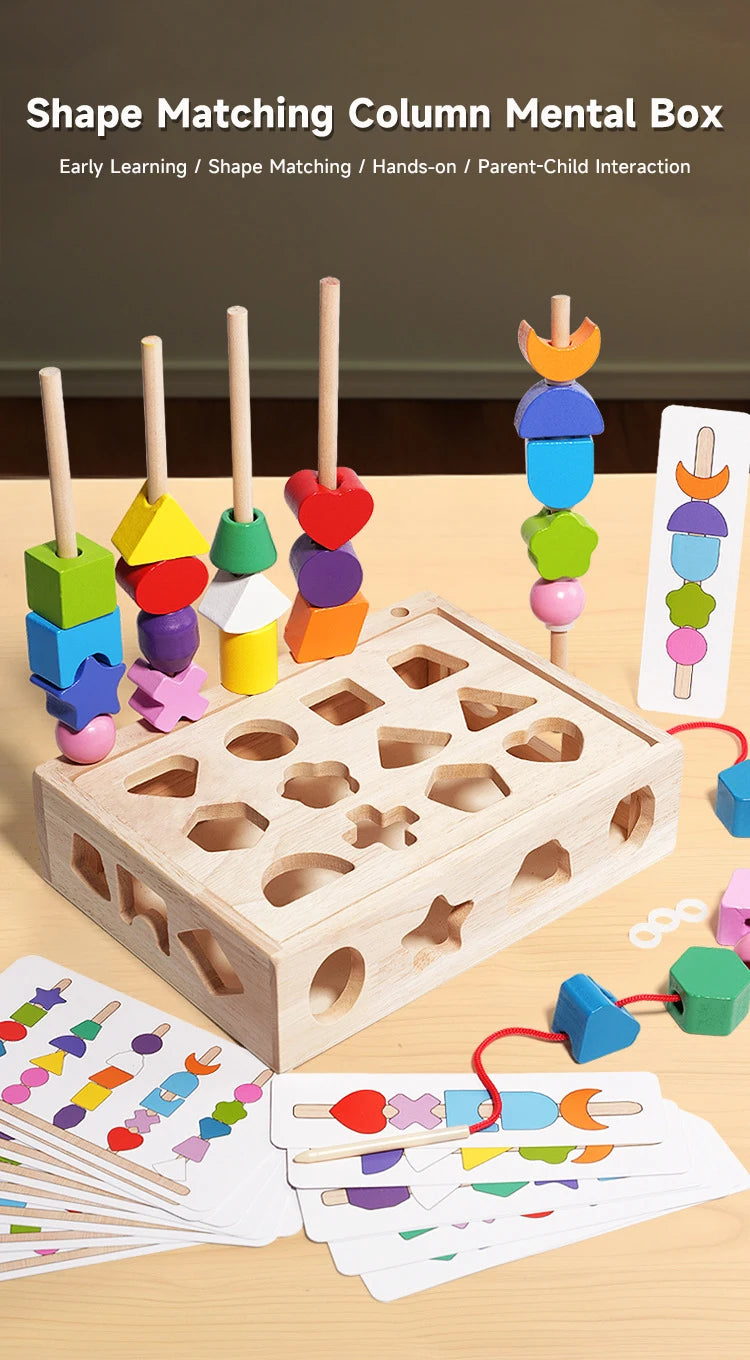Montessori Wooden Color and Shape Matching Puzzle