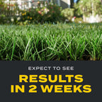 Scotts Turf Builder Triple Action1 Lawn Care Formula