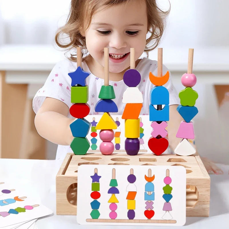 Montessori Wooden Color and Shape Matching Puzzle