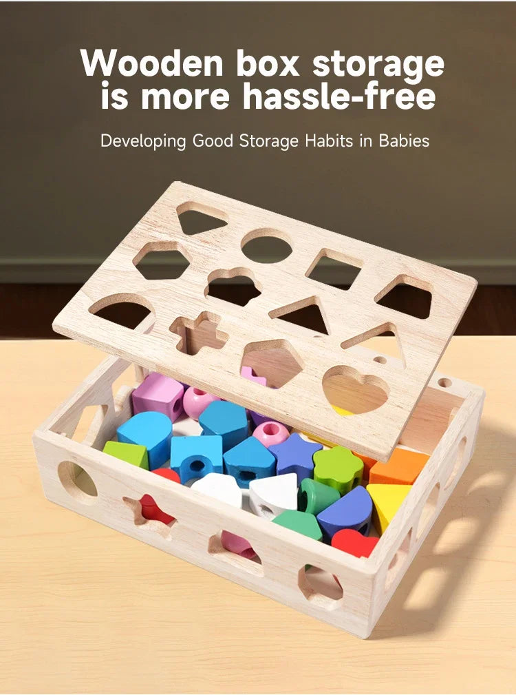Montessori Wooden Color and Shape Matching Puzzle